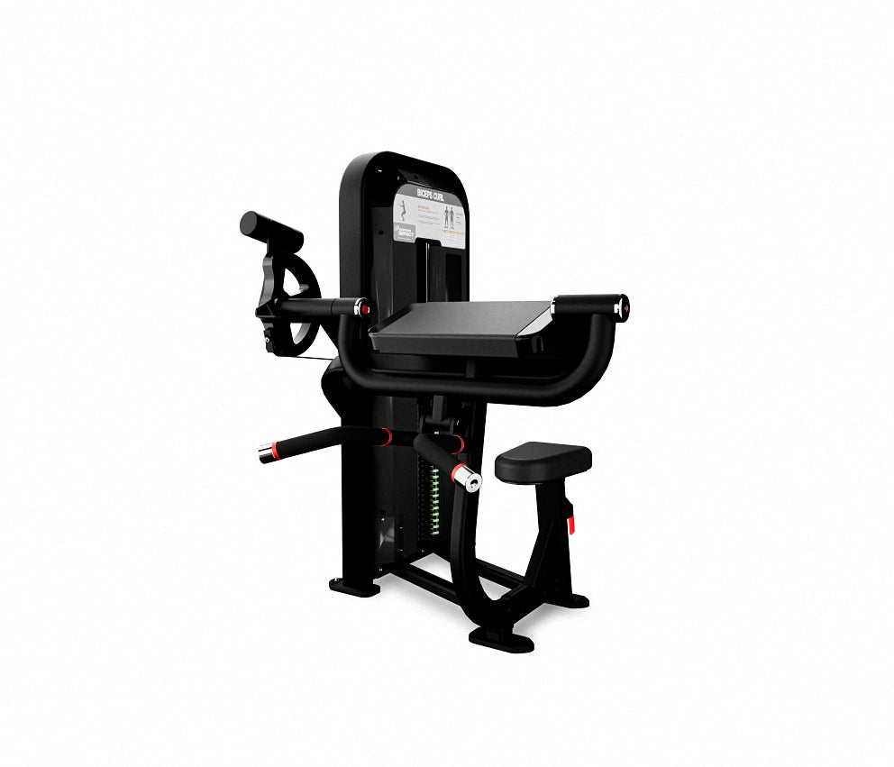 Impact Curl de Biceps