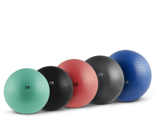 GymBall Antiburst Gris