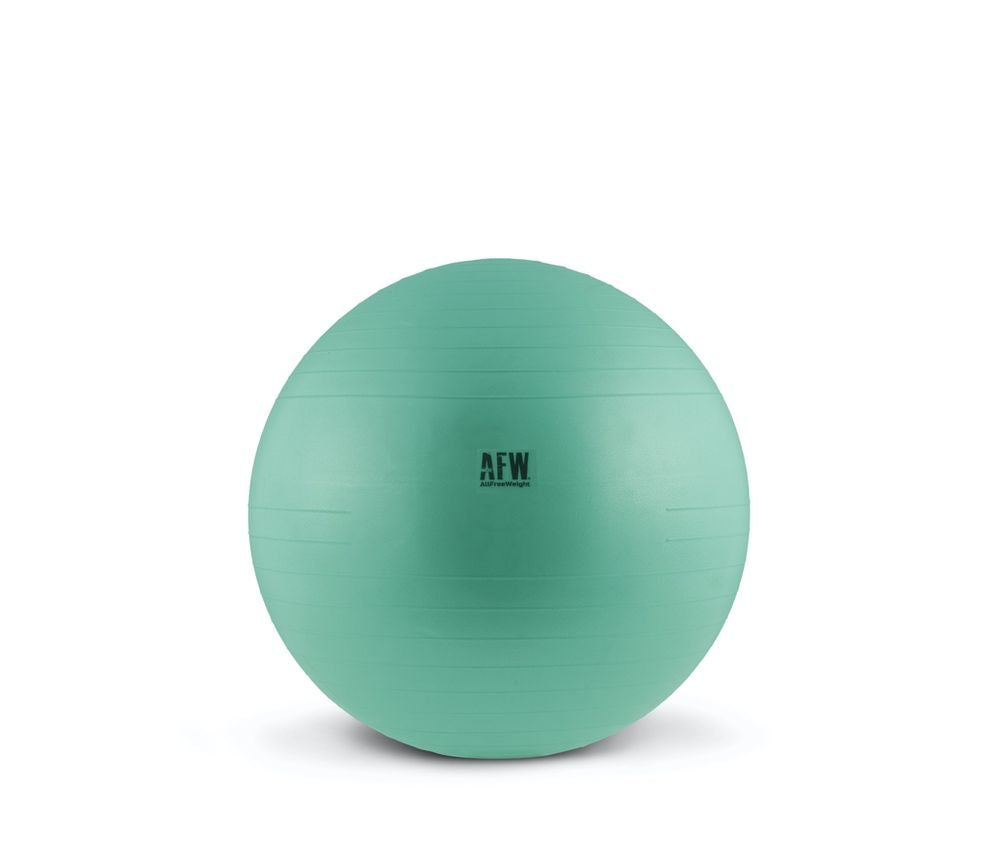 GymBall Antiburst Gris