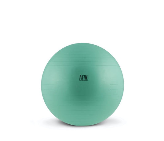 GymBall Antiburst Gris