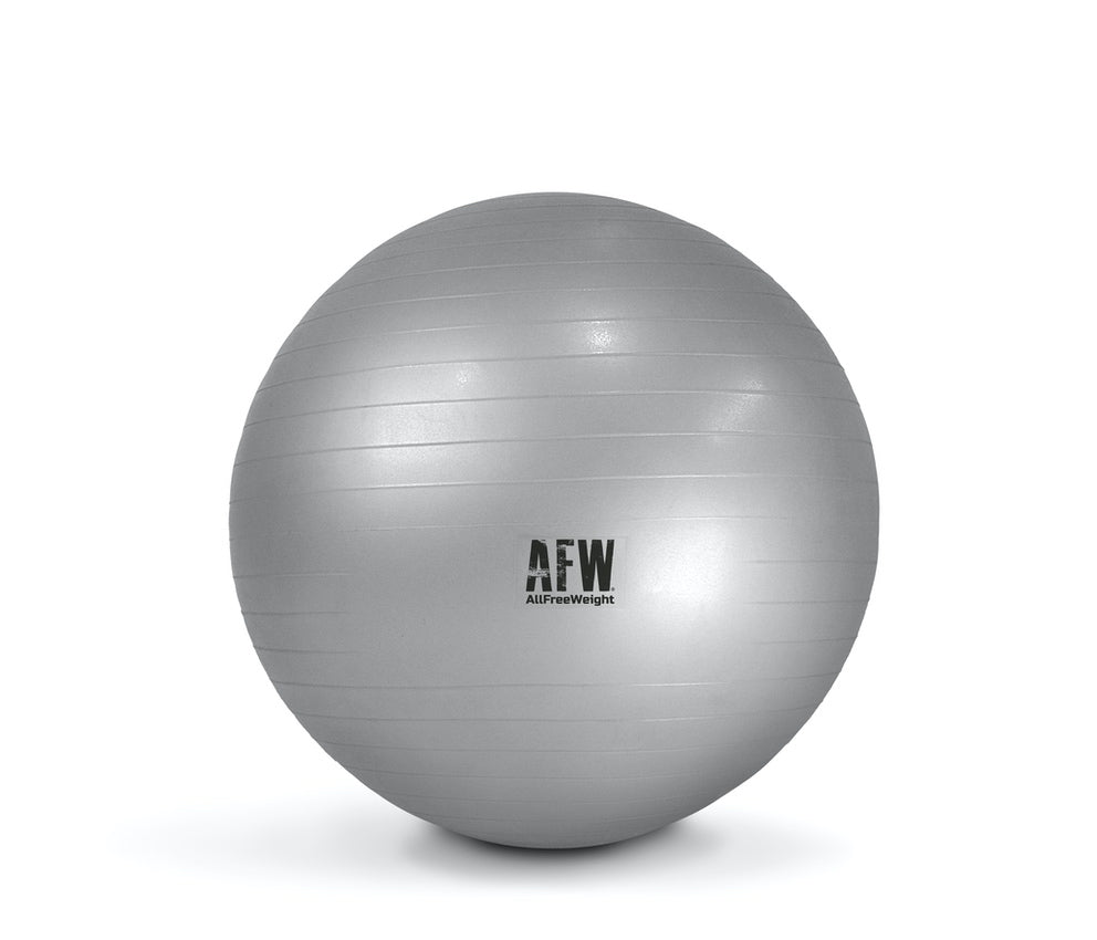 GymBall antiburst gris