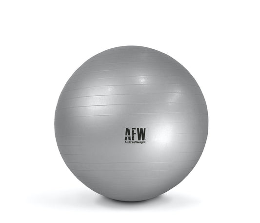 GymBall antiburst gris